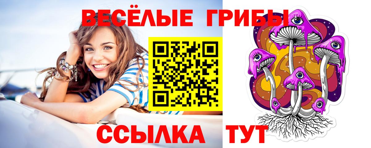 Ставрополь  Галлюциногенные грибы Magic Shrooms  Вход с VPN  Галлюциногенные грибы Magic Shrooms 